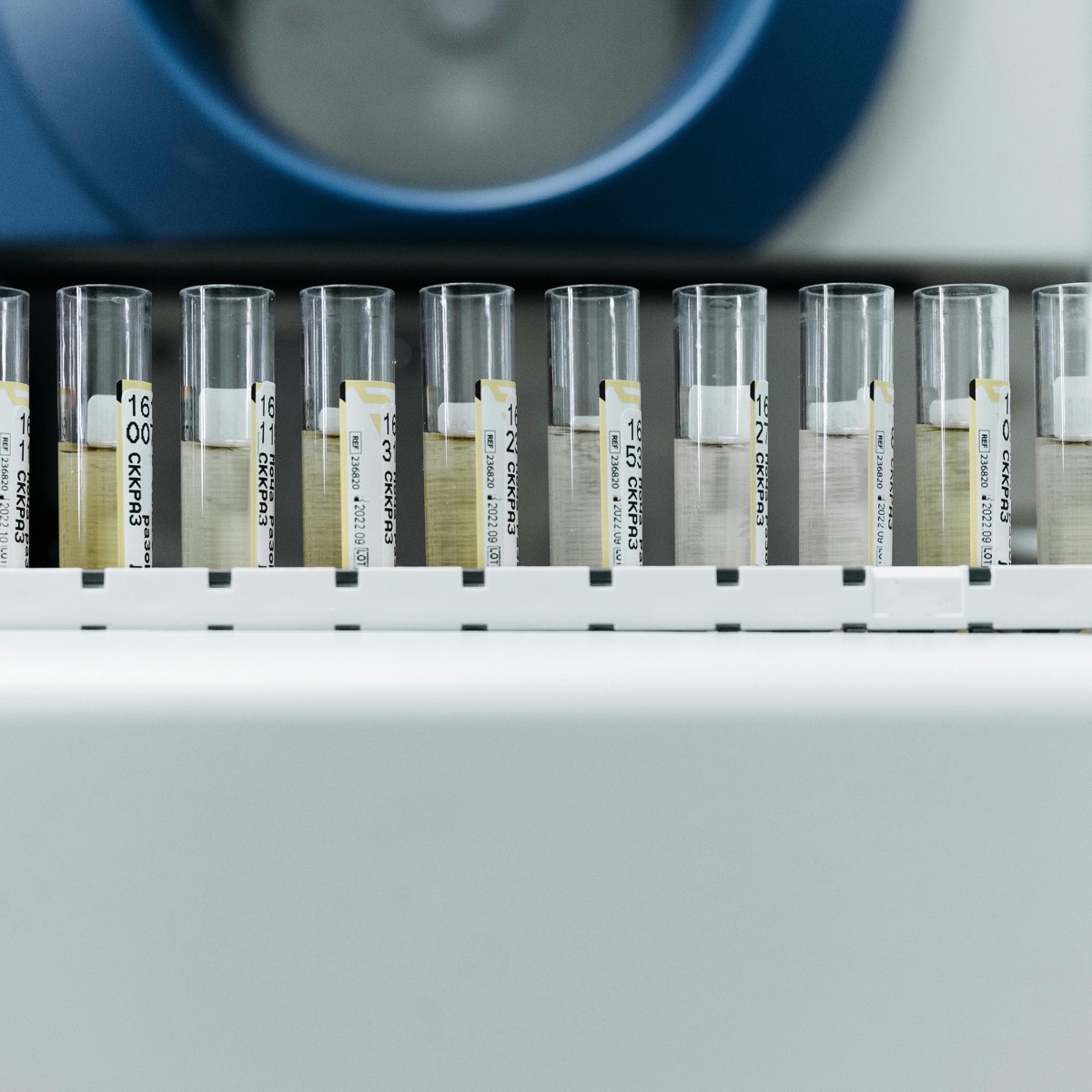 A close-up of a lab collection vial.
